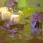 Boda