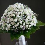 Boda