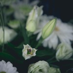 boda