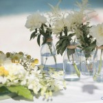 Boda