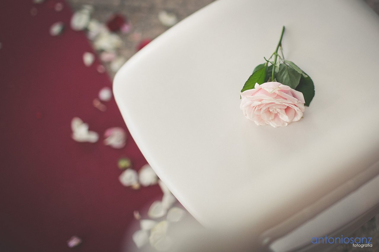 Boda